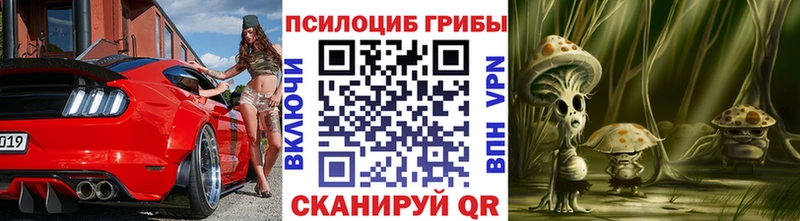 Псилоцибиновые грибы GOLDEN TEACHER MEGA ссылки Кодинск
